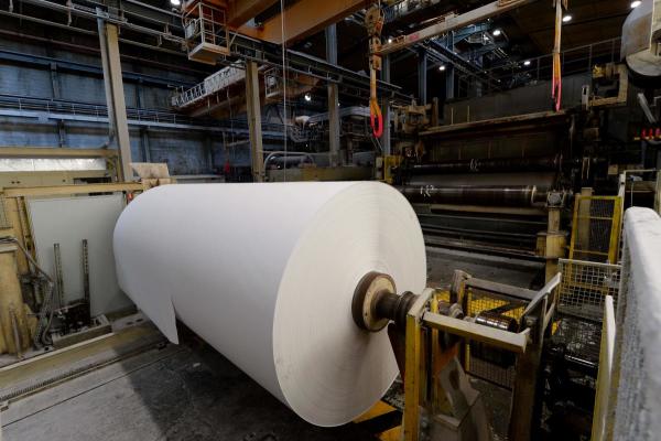 DỰ ÁN 52 Paper mill 275819100 1584607676
