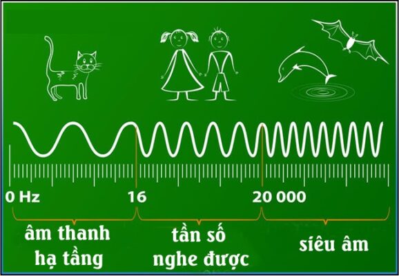 Tần số là gì? Giải đáp các thông tin liên quan đến tần số