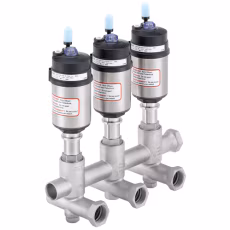 Valve Cluster